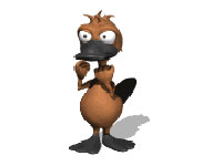 duck.jpg